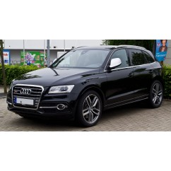 Grille de calandre Look SQ5 pour Audi Q5 (12-17)