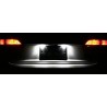 Eclairage de plaque LED - Blanc Pur Renault Captur, Espace 4, Fluence, Modus et Scenic