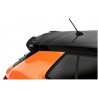 Becquet carbon adaptable sur Skoda Fabia 4 21+