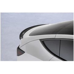 Becquet noir brillant Tesla Model Y 20+