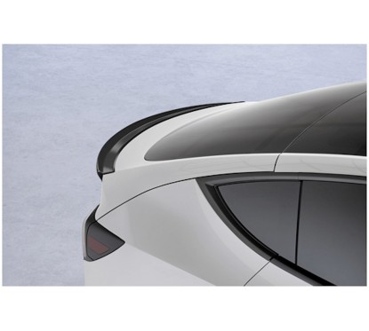 Becquet noir brillant adaptable sur Tesla Model Y 20+