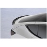 Becquet noir brillant Tesla Model Y 20+