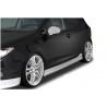 2x Bas de caisse adaptables sur Seat Ibiza 6J 08-17
