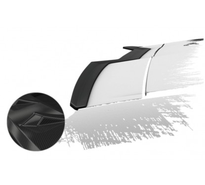 Becquet carbone adaptable sur BMW X6 19+
