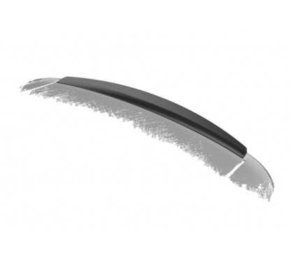 Becquet carbone adaptable sur Peugeot 407 Coupé 05-11