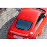 Becquet adaptable sur Audi TT 8N 96-06