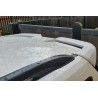 Becquet adaptable sur Ford Kuga Escape MK2 13-19