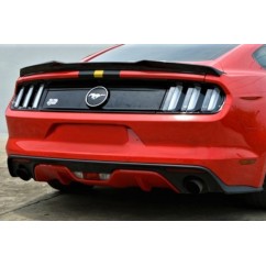 Becquet adaptable sur Ford Mustang MK6 14+