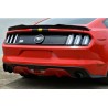 Becquet adaptable sur Ford Mustang MK6 14+