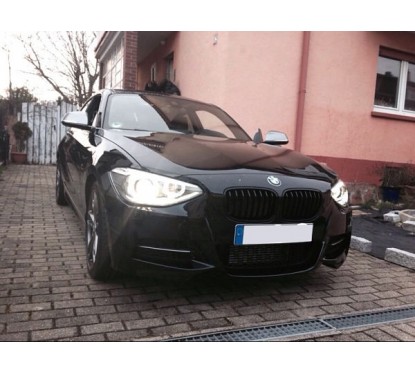 2x Grilles de Calandre BMW F20 F21 Noir Mat (11-15)