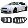 2x Grilles de Calandre Noir BMW Série 6 E63 E64 (03-10)