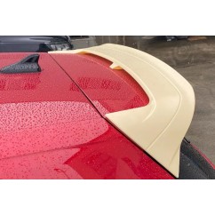 Becquet adaptable sur Volkswagen Golf 8 19+