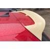 Becquet adaptable sur Volkswagen Golf 8 19+