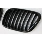 2x Grilles de Calandre BMW E53 X5 Ph 1 Noir brillant 99-03