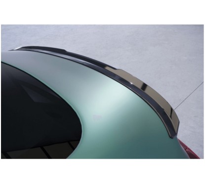 Becquet carbone adaptable sur Tesla Model 3 17+
