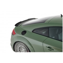Becquet carbone adaptable sur Audi TT FV/8S 14+