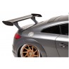 Becquet de toit adaptable sur Audi TT FV/8S Coupé 14+