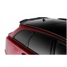 Becquet carbone adaptable sur Audi A6/S6 C7 Break 11-18