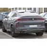 Becquet Carbone pour BMW X6 G06 M Performance (19+)