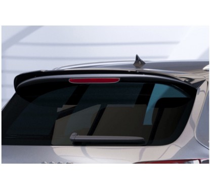 Becquet adaptable sur Audi Q7 05-15