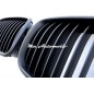 2x Grilles de Calandre BMW E39 - Noir Mat
