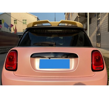 Becquet Mini Cooper III F55 / F56 (13+)