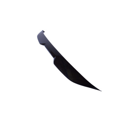 Becquet Noir brillant BMW Série 2 G42 (21-24) v2