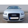 Calandre Audi A3 8P RS3 05-08