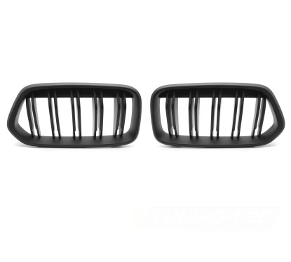 2x Grilles de Calandre BMW X2 F39 M Performance Mat (18+)