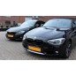 2x Grilles de Calandre BMW F20 F21 Noir Brillant M Performance (11-15)