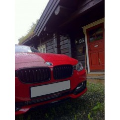 2 x Grilles de Calandre BMW F30 F31 M
