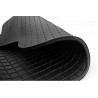 Tapis de sol en caoutchouc BMW X1 F48