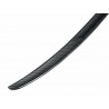 Becquet Audi A4 B9 Carbone (15-18)