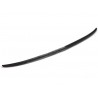 Becquet Audi A4 B9 Carbone (15-18)