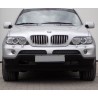 2x Grilles de Calandre BMW X5 E53 LCI Titan 03-07