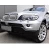 2x Grilles de Calandre BMW X5 E53 LCI Titan 03-07