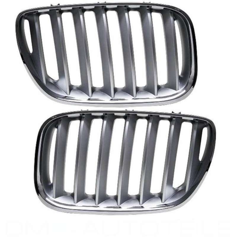 2x Grilles de Calandre BMW X5 E53 LCI Titan (03-07)