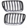 2x Grilles de Calandre BMW X5 E53 LCI Titan 03-07