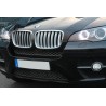 2x Grilles de Calandre BMW X5 E70 Titan