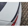 Becquet noir brillant BMW Serie 3 G20 M Performance 19+