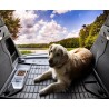 Tapis de coffre adaptable sur Vw Passat B8 Berline 15+