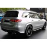 2x Marches pieds Mercedes GLS SUV X167 (20+) avec LED