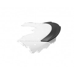 Becquet en ABS BMW Serie 1 E82 E88 M Performance 07-13