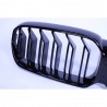 2x Grilles de Calandre Noir Brillant BMW Série 1 G30 G31 (19+)