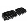 2x Grilles de Calandre BMW X2 F39 M Performance Mat
