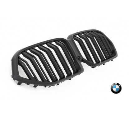 2x Grilles de Calandre BMW X6 G06 M Performance Mat
